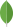 mongodb-icon